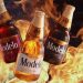 Cerveza Modelo lanza compaña: “Esto no es una chela, es Cerveza Modelo”