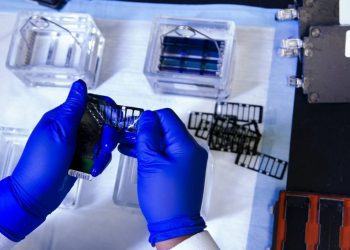 Ukko invertirá 40 mdd para resolver alergias y sensibilidades alimentarias