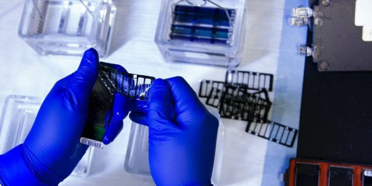 Ukko invertirá 40 mdd para resolver alergias y sensibilidades alimentarias