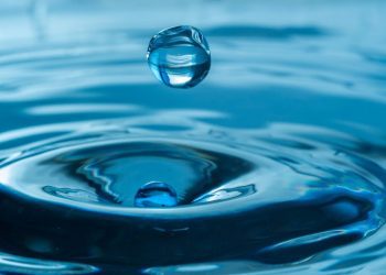 Día Mundial del Agua: 50% del líquido se desperdicia en la distribución