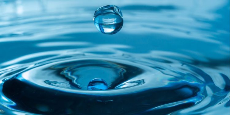 Día Mundial del Agua: 50% del líquido se desperdicia en la distribución