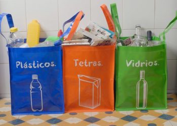 Apenas tres de cada 10 entiende que es «economía circular»: estudio «Estado del Reciclaje de Plásticos 2021»
