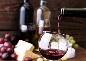 Investigadores obtienen biocombustible con remanentes de las industrias del queso y vino