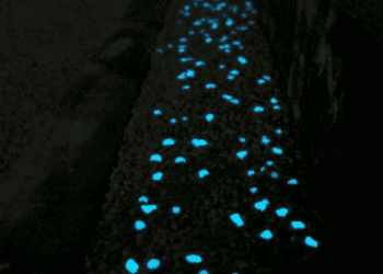  CEMEX y PROTECVAL crean pavimento que absorbe luz en el día y la emite en la noche