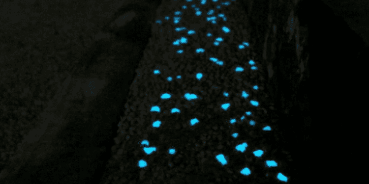  CEMEX y PROTECVAL crean pavimento que absorbe luz en el día y la emite en la noche