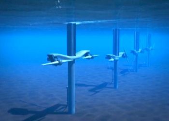 Conferencia Internacional virtual 2021 sobre Energía Oceánica