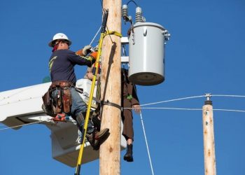 IMSS registra 88,771 nuevos trabajadores en marzo; Transformación y electricidad, lo que más crean empleo