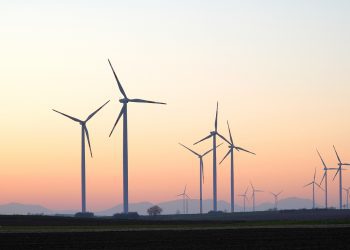 Sector eólico crecerá por acciones contra el Cambio Climático