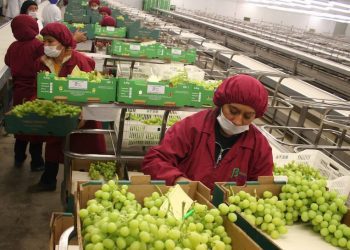 Indicador global de la actividad económica avanza 20.6% en abril de 2021