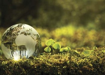 La economía del futuro será verde o no será
