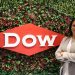Verónica Pérez, la nueva Presidenta de Dow región Norte de América Latina