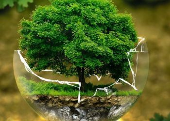 Talos Energy y Storegga crean empresa de captura y almacenamiento de CO2