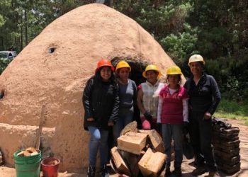 Estudia IPN viabilidad de carbón vegetal como energía renovable