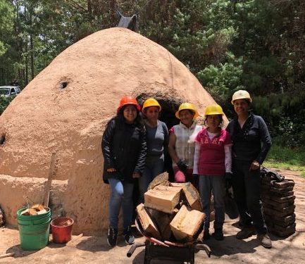 Estudia IPN viabilidad de carbón vegetal como energía renovable
