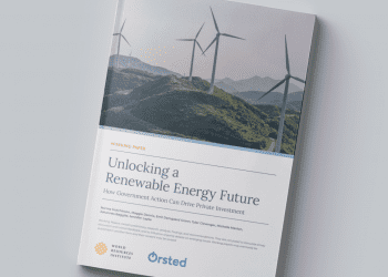 IP y renovables necesarios en la descarbonización