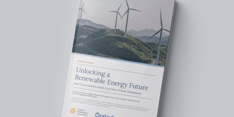 IP y renovables necesarios en la descarbonización