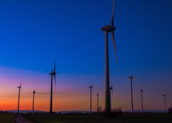 Cae energía eólica 45% en México por cambios normativos: REN21