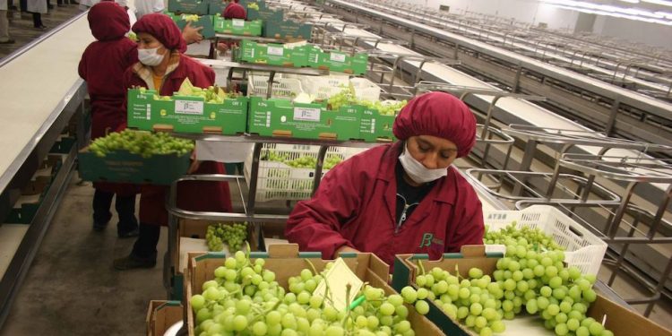 Actividad economía reporta crecimiento anual positivo en mayo