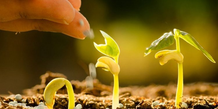 5 acciones para restaurar los ecosistemas