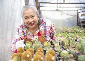 Pymes y COVID19:  el reto de la reactivación económica