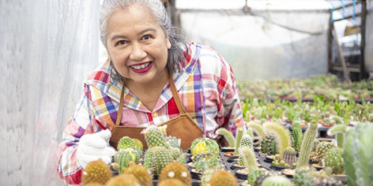 Pymes y COVID19:  el reto de la reactivación económica