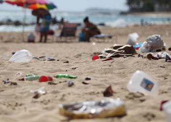 Día Mundial del Medio Ambiente 2021: no hay mucho que festejar