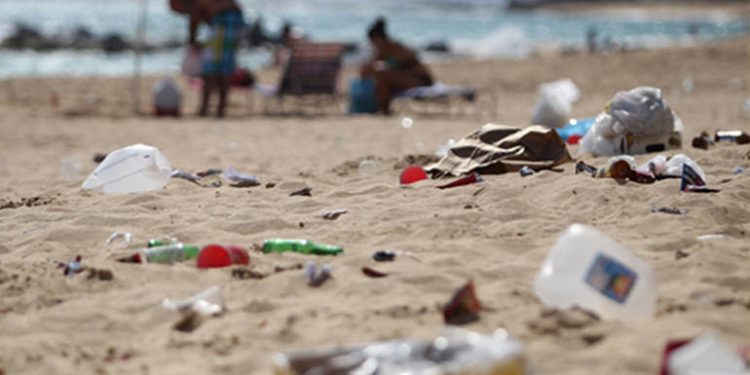 Día Mundial del Medio Ambiente 2021: no hay mucho que festejar