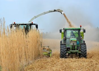 Los retos de la energía: la seguridad alimentaria