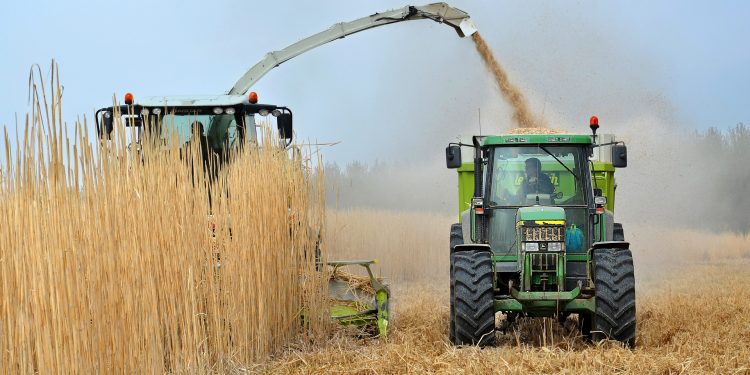 Los retos de la energía: la seguridad alimentaria