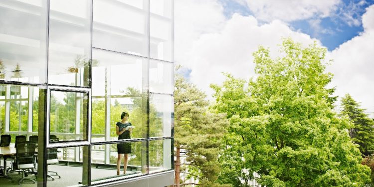 5 razones para que empresas inviertan en sostenibilidad y tecnologías de baja emisión