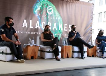 Oceana lanza expedición científica para proteger los arrecifes del Golfo de México