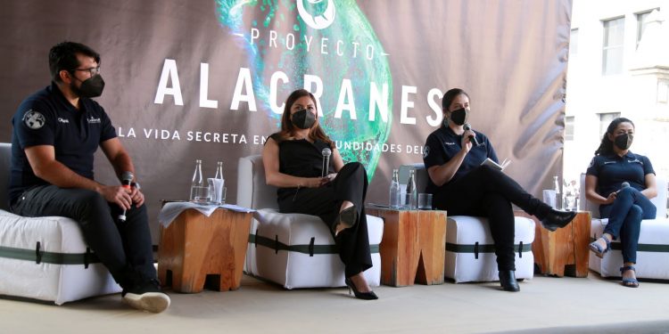 Oceana lanza expedición científica para proteger los arrecifes del Golfo de México