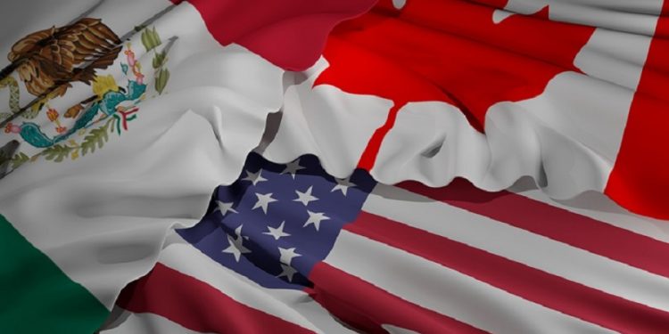 Relevancia del  Capítulo 24 del  TMEC para las  empresas I WEBINAR