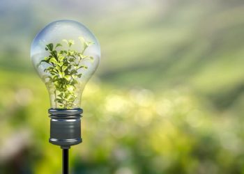 El eco de la transición energética