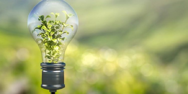 El eco de la transición energética