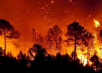 G20 no convence a China de limitar el calentamiento global a 1.5 grados