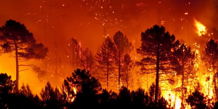 G20 no convence a China de limitar el calentamiento global a 1.5 grados