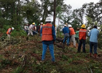 Huracán «Grace»: CFE repara daños y restablece servicio en cinco estados