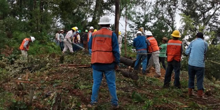 Huracán «Grace»: CFE repara daños y restablece servicio en cinco estados