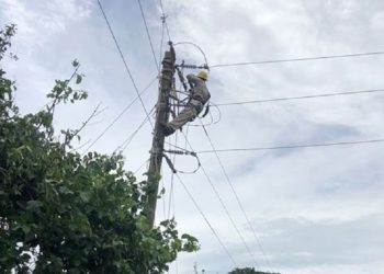 Huracán «Nora» afecta a 355,092 usuarios en cinco estados; CFE restablece 86% del suministro