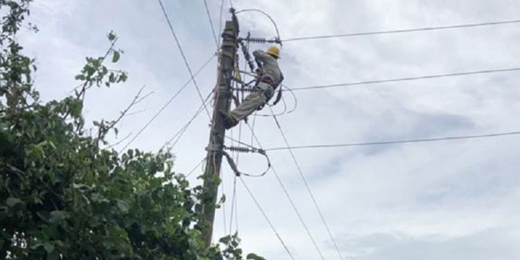 Huracán «Nora» afecta a 355,092 usuarios en cinco estados; CFE restablece 86% del suministro