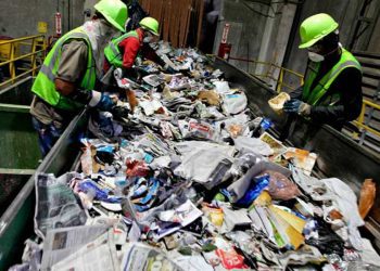 Actividad de servicios de apoyo a los negocios y manejo de residuos y desechos, y servicios de remediación estancado