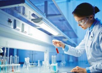 IASE México anuncia alianza con la AMIIF