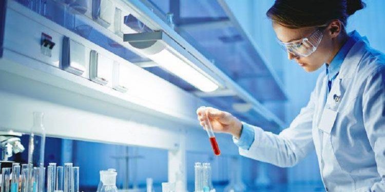 IASE México anuncia alianza con la AMIIF