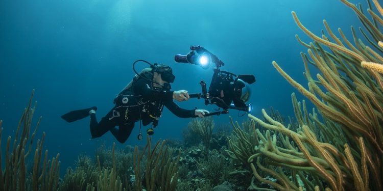 Temperaturas de 29 y 30% constantes en arrecifes de Yucatán