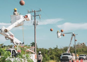 CFE da mantenimiento a la red de El Cuyo para un entorno más amigable para los flamingos