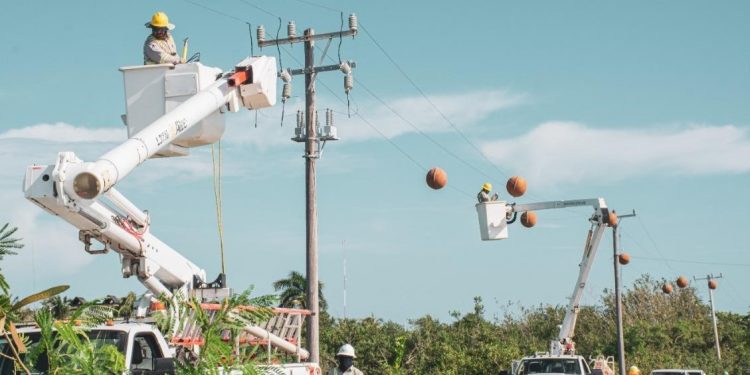 CFE da mantenimiento a la red de El Cuyo para un entorno más amigable para los flamingos