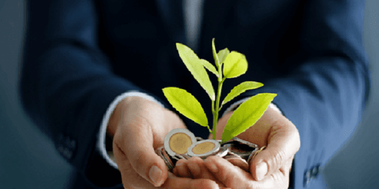 De cara a la supervivencia: las finanzas verdes