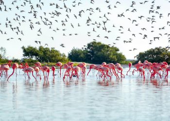 20 lugares que puedes visitar en Yucatán