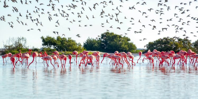 20 lugares que puedes visitar en Yucatán